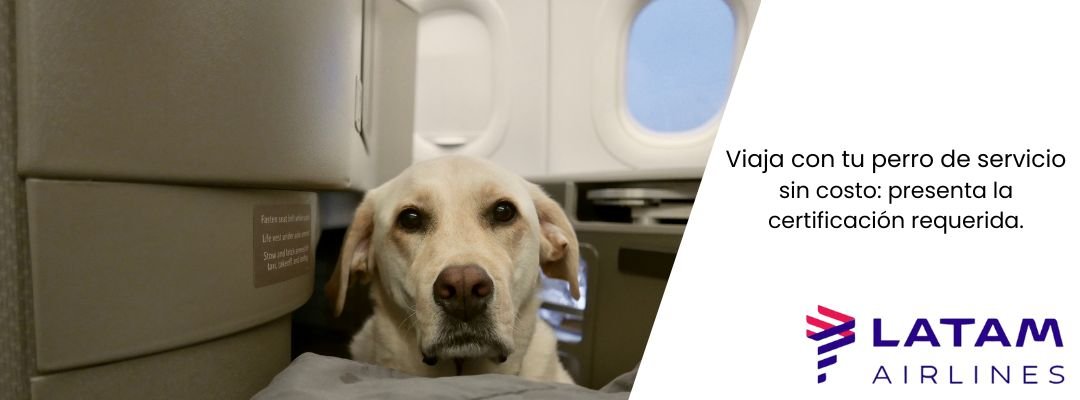 Perro de servicio LATAM Airlines