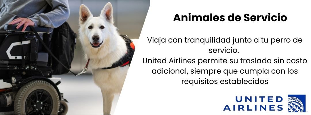 Animales de servicio United Airlines 