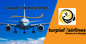 VIAJAR CON MASCOTAS TURPIAL AIRLINES