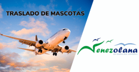 TRASLADO DE MASCOTAS LA VENEZOLANA