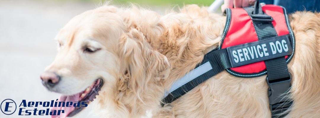 Mascotas de servicio de aerolíneas Estelar