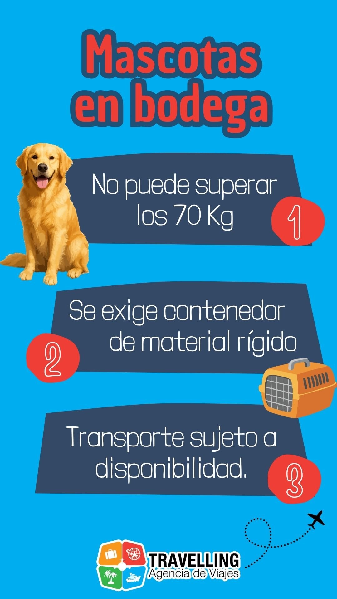 Mascotas en bodega Avianca