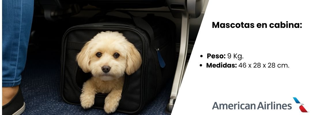 Mascotas en cabina de American Airlines 