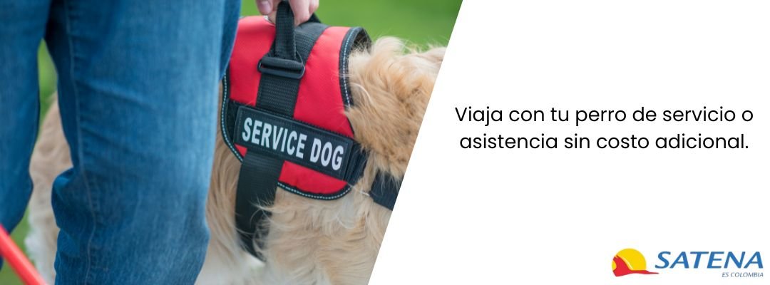 Mascotas de servicio de Satena