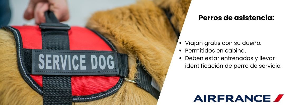 Perros de asistencia Air France