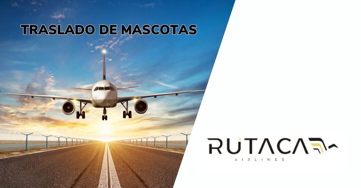 Traslado de mascotas Rutaca Airlines