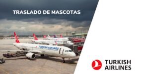 Traslado de mascotas de Turkish Airlines