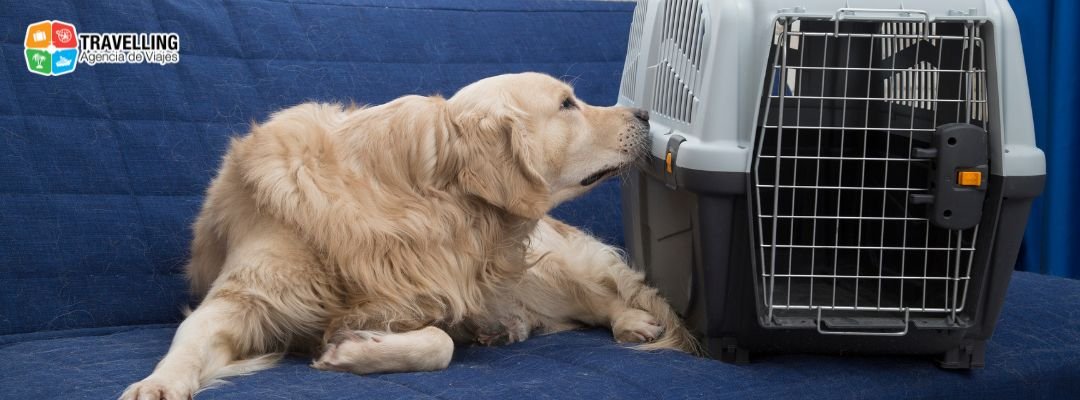 Traslado de mascotas Air France