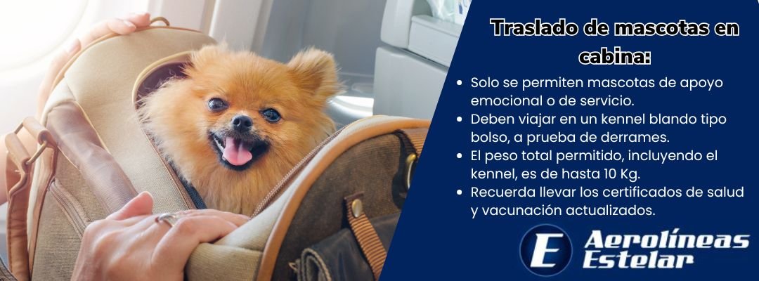 Traslado de mascotas en cabina con Aerolíneas Estelar